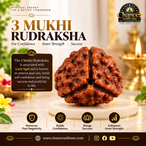 3 Mukhi Rudraksha