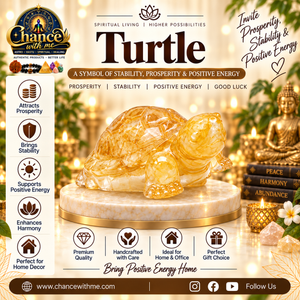 Yellow Crystal Turtle with Selenite Plate