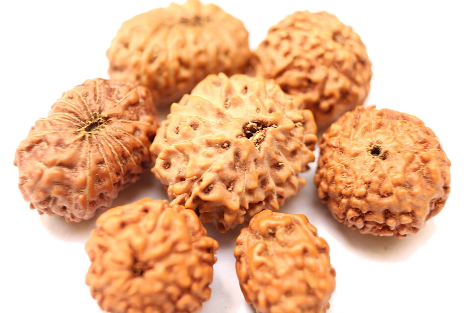 Rudraksha Panchmukhi Mala