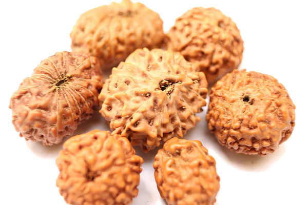 Rudraksha Panchmukhi Mala