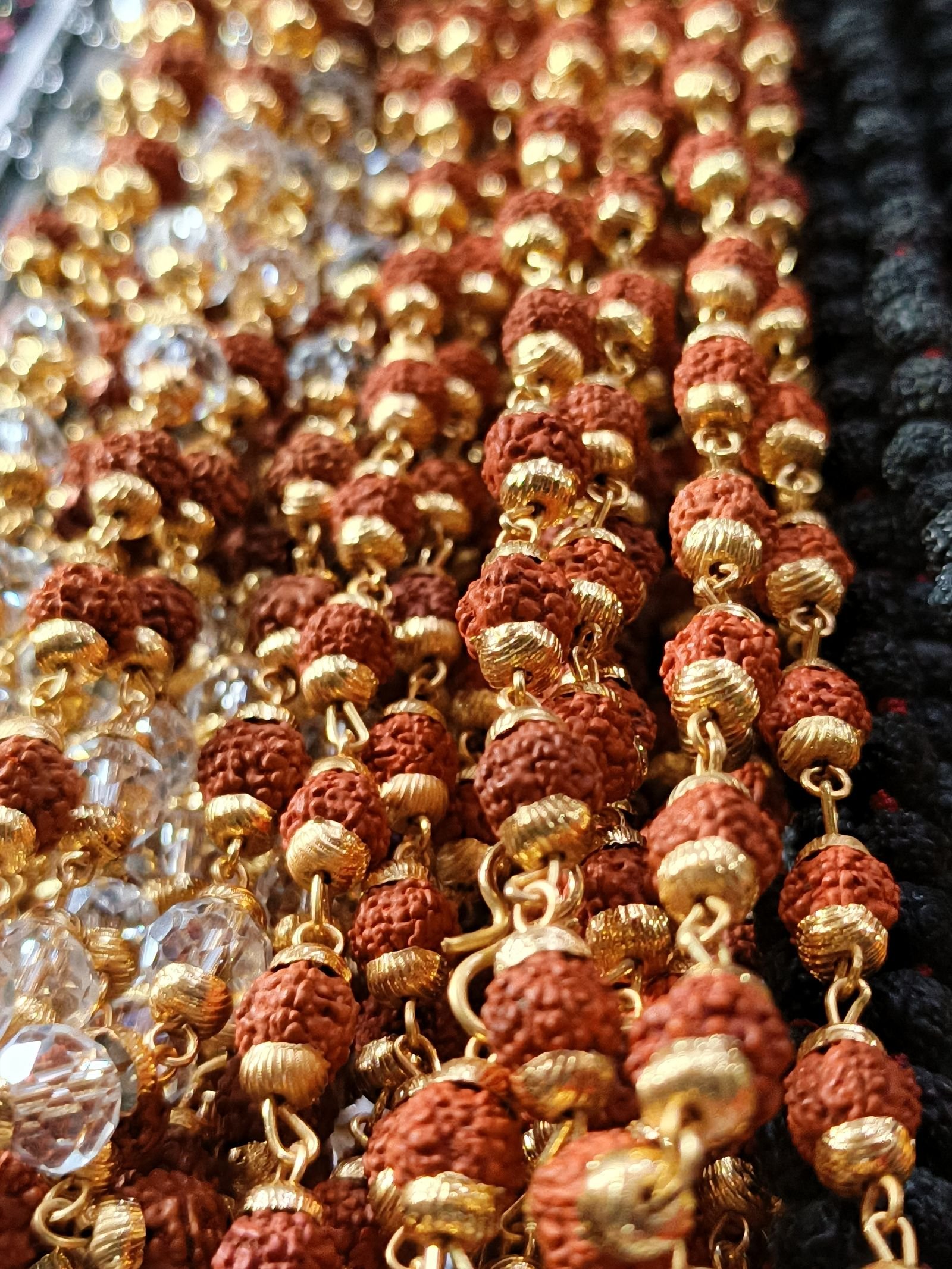 Rudraksha
